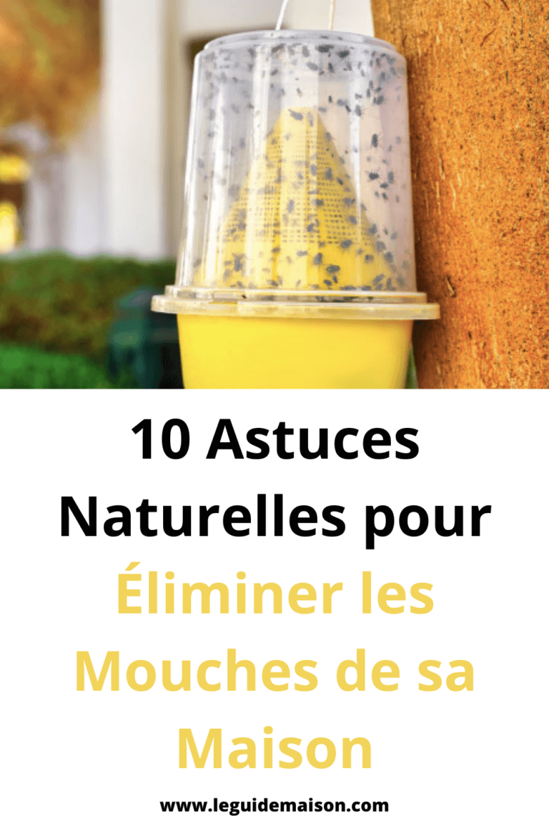 Les Astuces De Sousou Pour Les Mouches